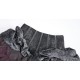 Blood Supply Legacy of the Undead Asymmetric Tulle Skirt(Full Payment Without Shipping)